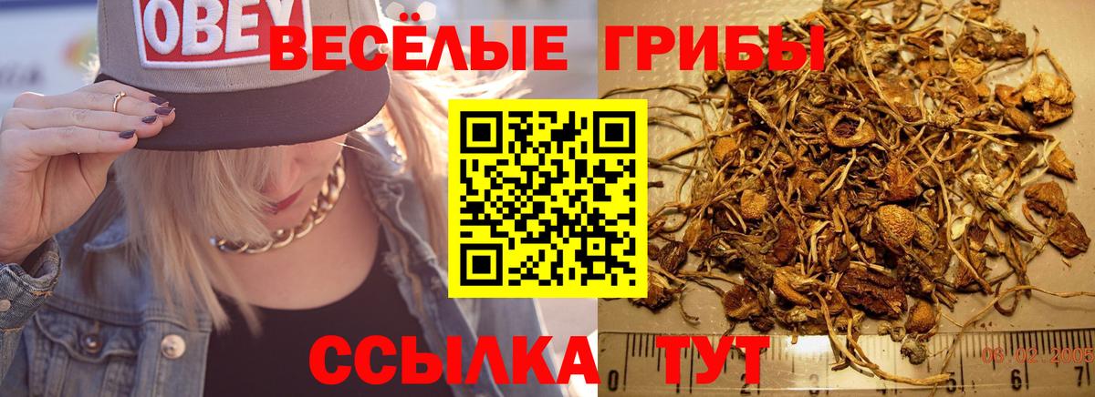 Псилоцибиновые грибы мицелий  Вход с VPN  Галлюциногенные грибы Magic Shrooms  Волжский 